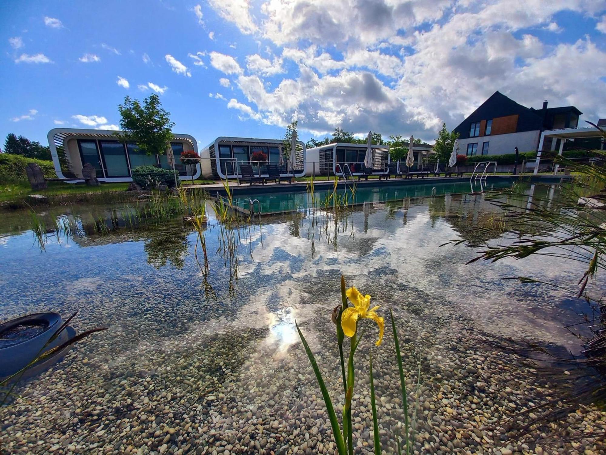 Glamping Maleric With Natural Pool Dragatus Exterior photo